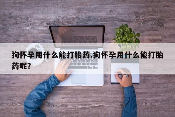 网上打胎药专门卖店狗怀孕用什么能打胎药.狗怀孕用什么能打胎药呢？