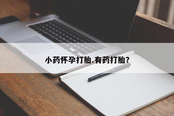 网上打胎药专门卖店小药怀孕打胎.有药打胎？