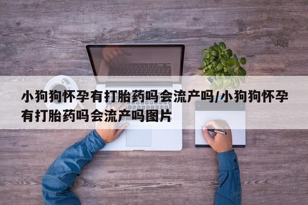网上打胎药专门卖店小狗狗怀孕有打胎药吗会流产吗/小狗狗怀孕有打胎药吗会流产吗图片