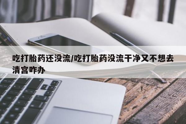 网上打胎药专门卖店吃打胎药还没流/吃打胎药没流干净又不想去清宫咋办