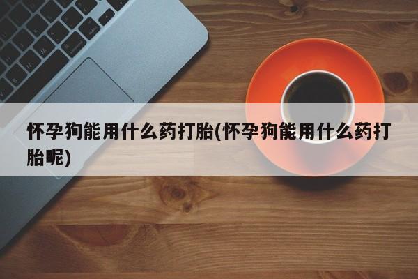 网上打胎药专门卖店怀孕狗能用什么药打胎(怀孕狗能用什么药打胎呢)