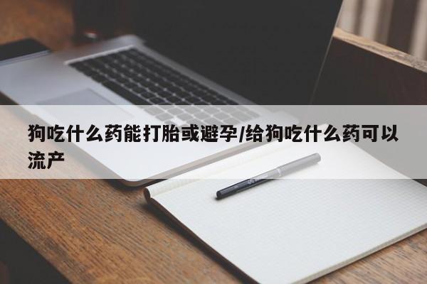 网上打胎药专门卖店狗吃什么药能打胎或避孕/给狗吃什么药可以流产
