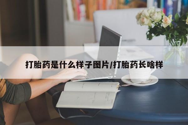 网上打胎药专门卖店打胎药是什么样子图片/打胎药长啥样